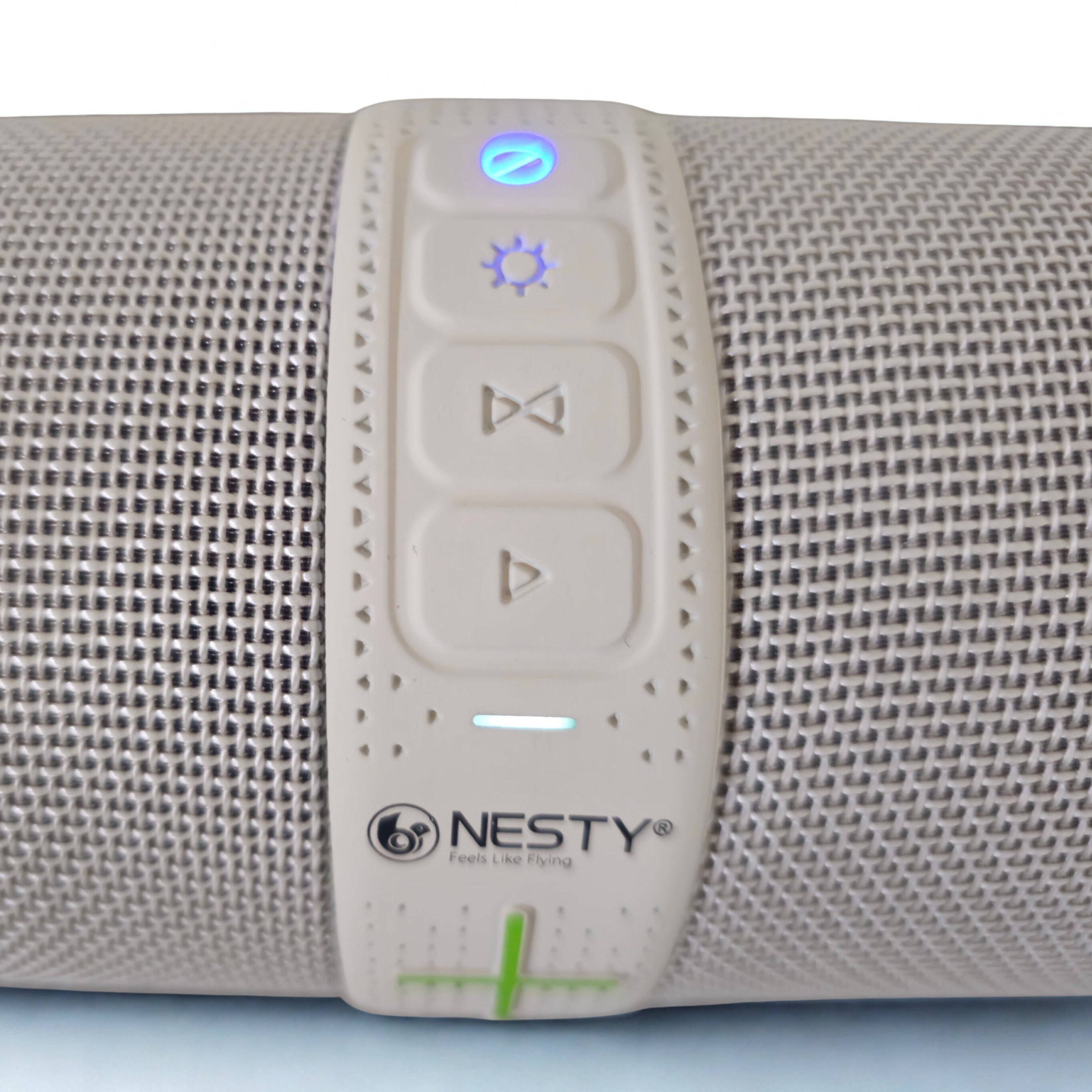 Nesty Thunder series